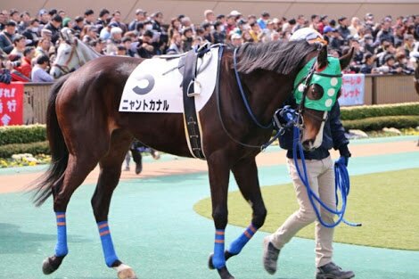 オマワリサン 超面白い競走馬の名前17選 ハイパーメモメモ