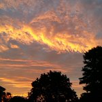 Photo by Juliet (@newforestlocal)