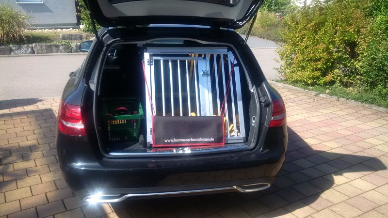 Faustmann Hundeboxen Faustmannhundeb Twitter