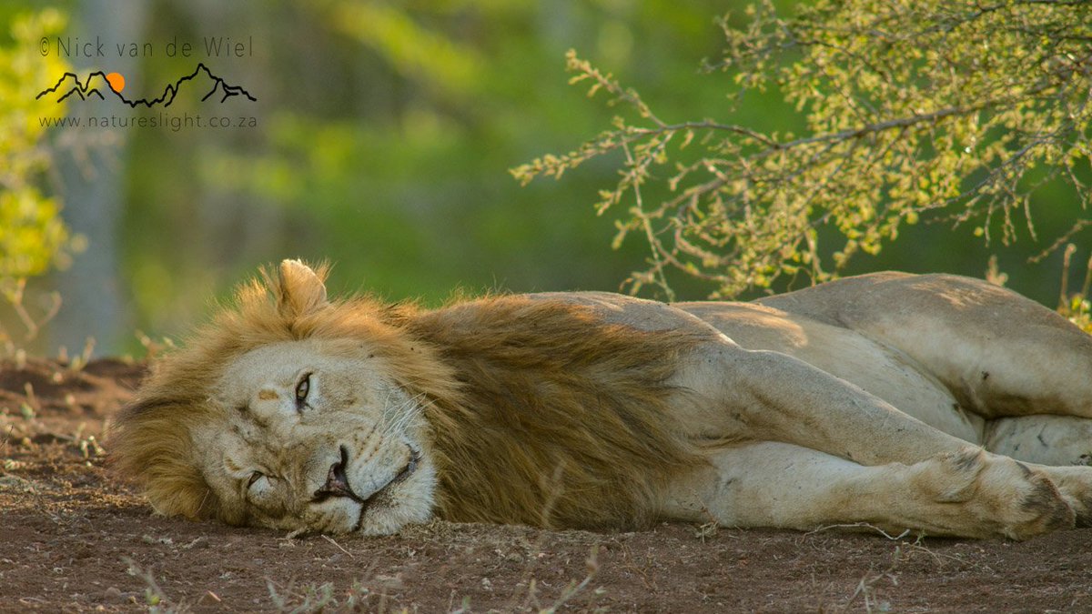 africageo's tweet photo. When it's already Monday morning but you still haven't recovered from Friday. Image by @natures_light https://t.co/jxuH1bpE1v