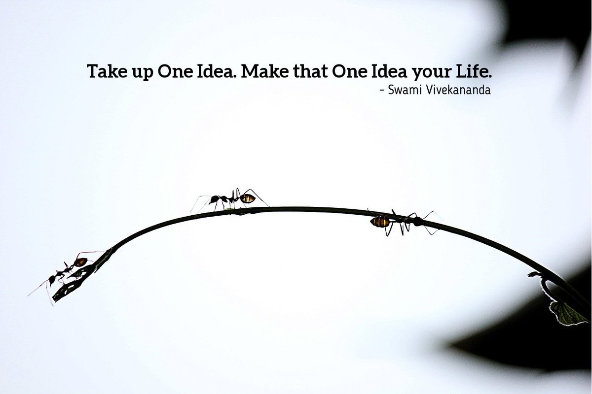 Colourpic's tweet photo. Our one idea is Photography, what's yours?
#photography #motivation https://t.co/F88PUGpibF