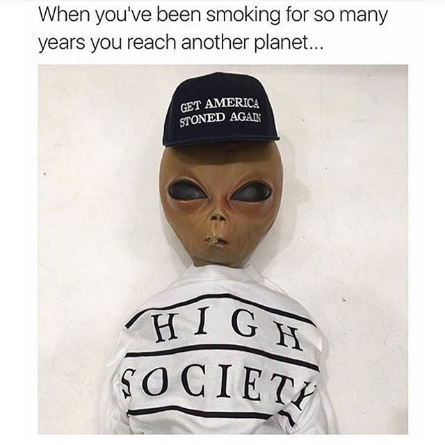 thehigh356's tweet photo. #marijuana #weed #cannabis #hemp #maryjane https://t.co/cPng867cBk