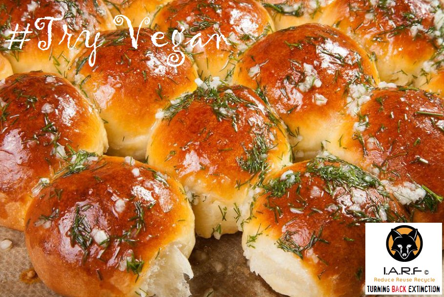 BenueZoo's tweet photo. VEGAN PAZARTESI | PATATESLI PUF POGACA | TURKISH VEGAN. https://t.co/0jj0v1nhm0 https://t.co/NCEd6TW5mW