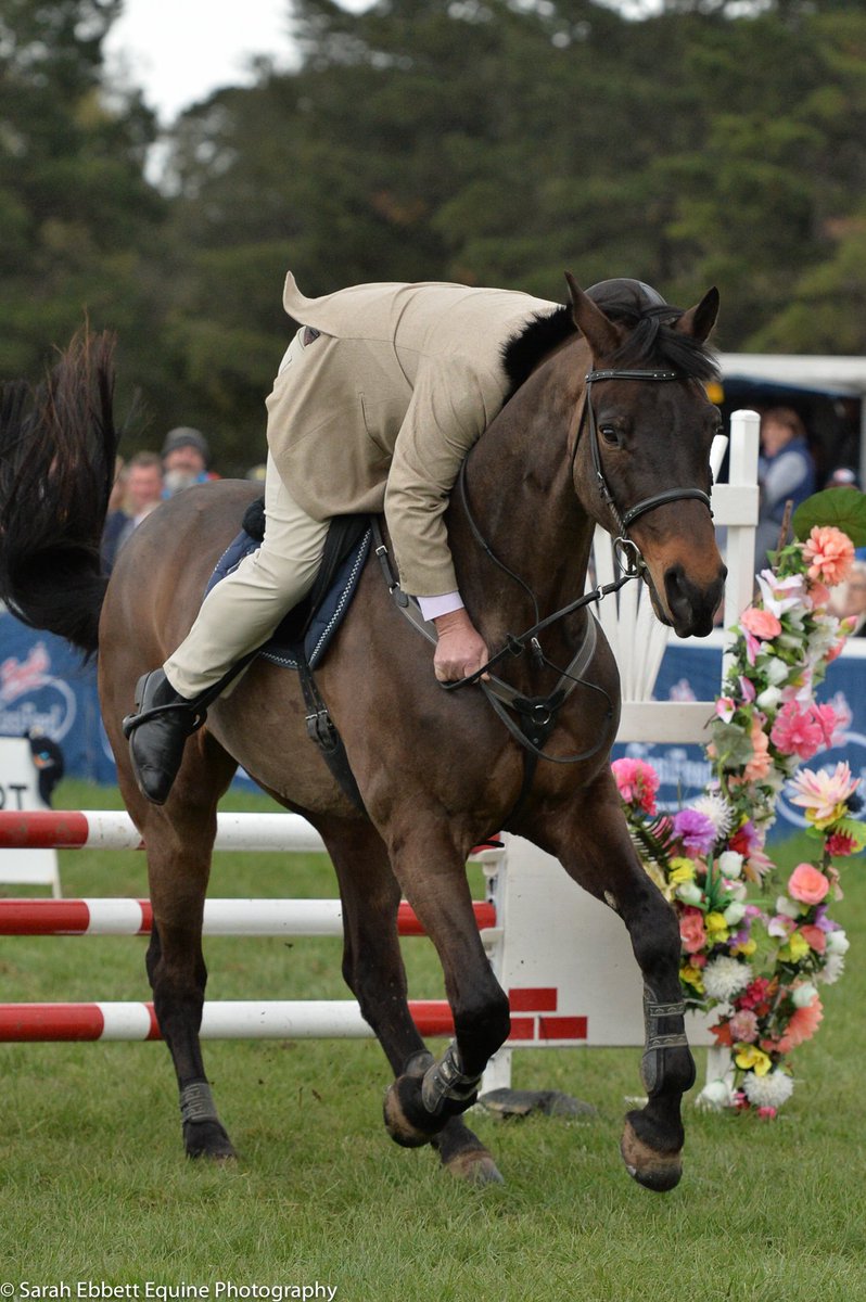 sarah_ebbett's tweet image. Well done .@moodyracingpgm for staying on in the .@RV_OffTheTrack  show jumping jockey's challenge.@Saremoody