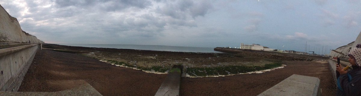 More marine monitoring for #NEMarine by @MarClim_MBA surveying the early morning tide @Brighton