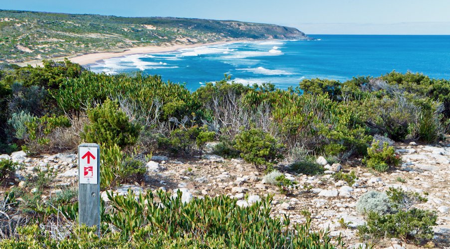 Registrations for our #JLFTrek are now open. app.jodileefoundation.org.au/events/the-jlf… #awareness #saveslives