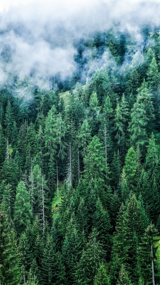 Andinerd's tweet image. A New Monday Morning, a new Week -  andreasschindler.com/blog/2016/09/1…