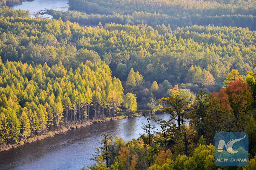 хребет большой хинган. горы большого хингана. хинган. хребет хинган. хинган.