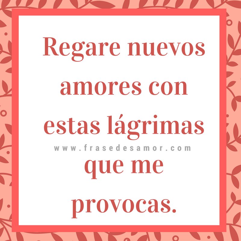 frase_desamor's tweet photo. Nuevos amores. https://t.co/BfFyUru0DZ