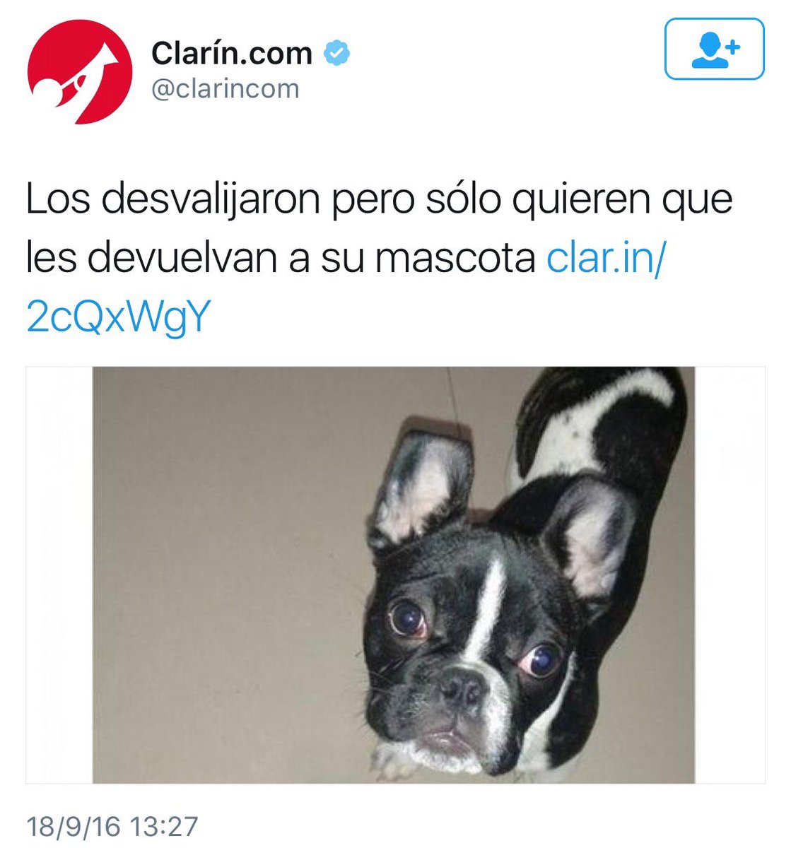 Maripiamorr's tweet photo. #Pilar #Robado #RT #DifusionMasiva puede estar en cualquier lado, ayudemos para que se reencuentre con su familia https://t.co/HS8bkzicn5
