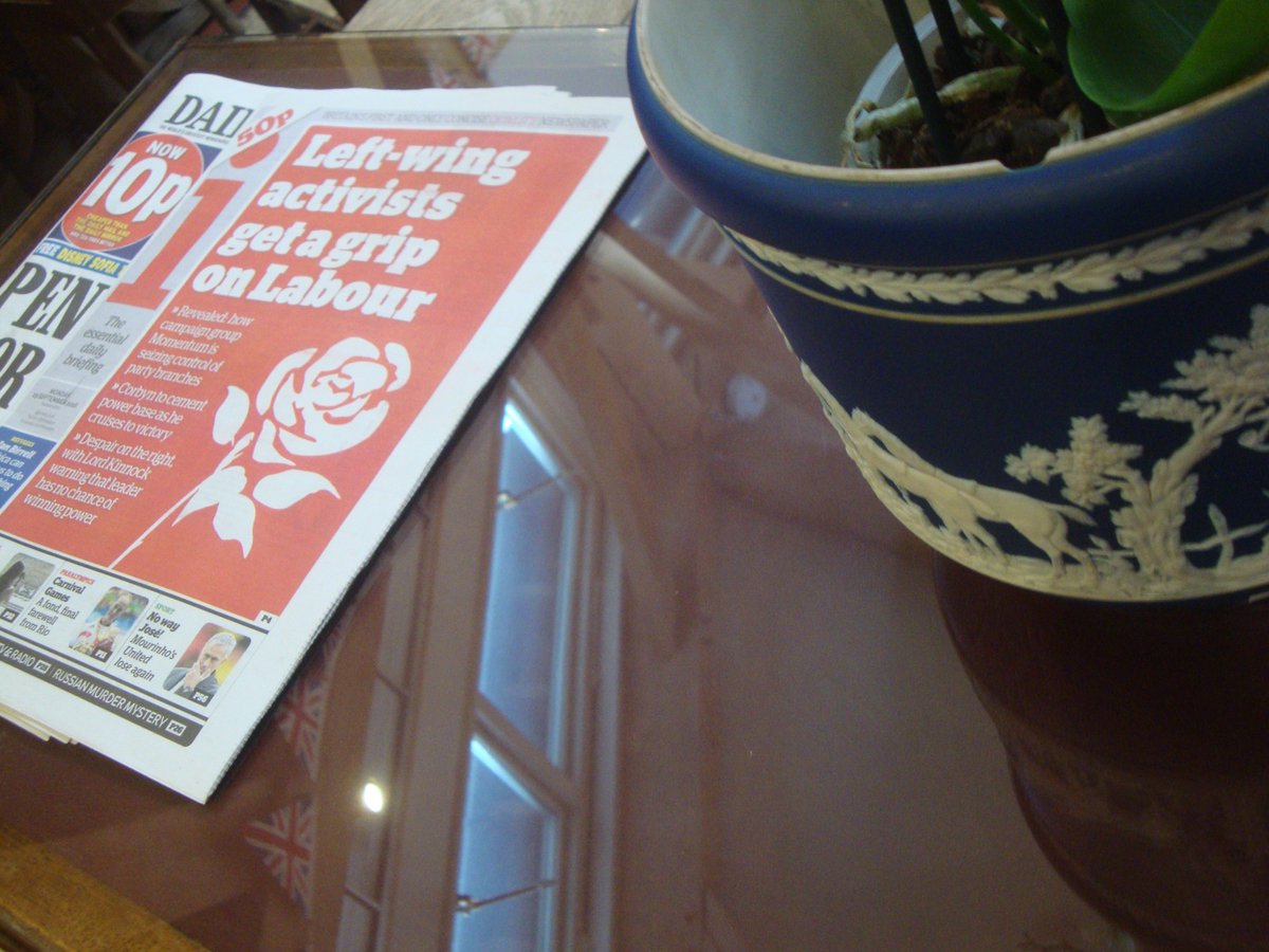 WilsonDevelopment tweet media