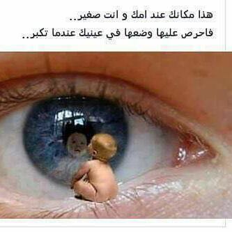 <a href="/ss_alshamisi/">شـﯾخہّ♚</a> <a href="/aljabri_j/">جمال الجابري 🇦🇪</a> <a href="/9weeb/">ناصربن يروان النيادي MBZ🇦🇪</a> <a href="/abuhamed7/">سيف كميدش🇦🇪</a> <a href="/amal_almesafri/">‏د. أمل المسافري</a> <a href="/OMAlsaedi/">عمر الساعدي | OMAR</a> <a href="/ADTweeeTS/">adtweets❤️‍🩹</a> <a href="/_saifalsa3di/">سيف السعدي</a> <a href="/jabal_k/">جعبل الخضربن دلهم</a>