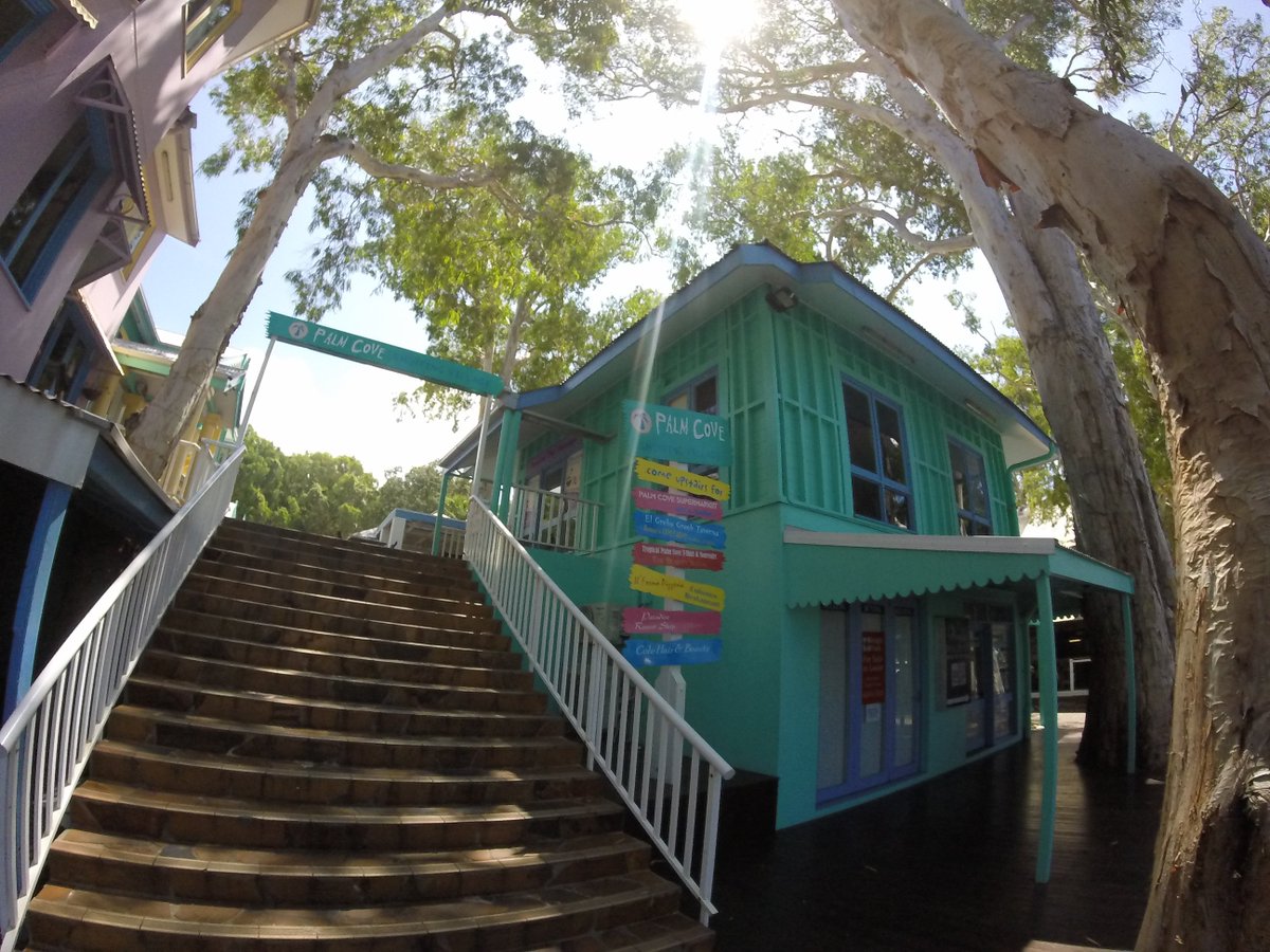wravltheworld's tweet photo. Found some more pics i had on the go pro of @PalmCove_QLD 
love that place!!
#travel #backpacking #paradise #gopro https://t.co/S5IjUtAvjb