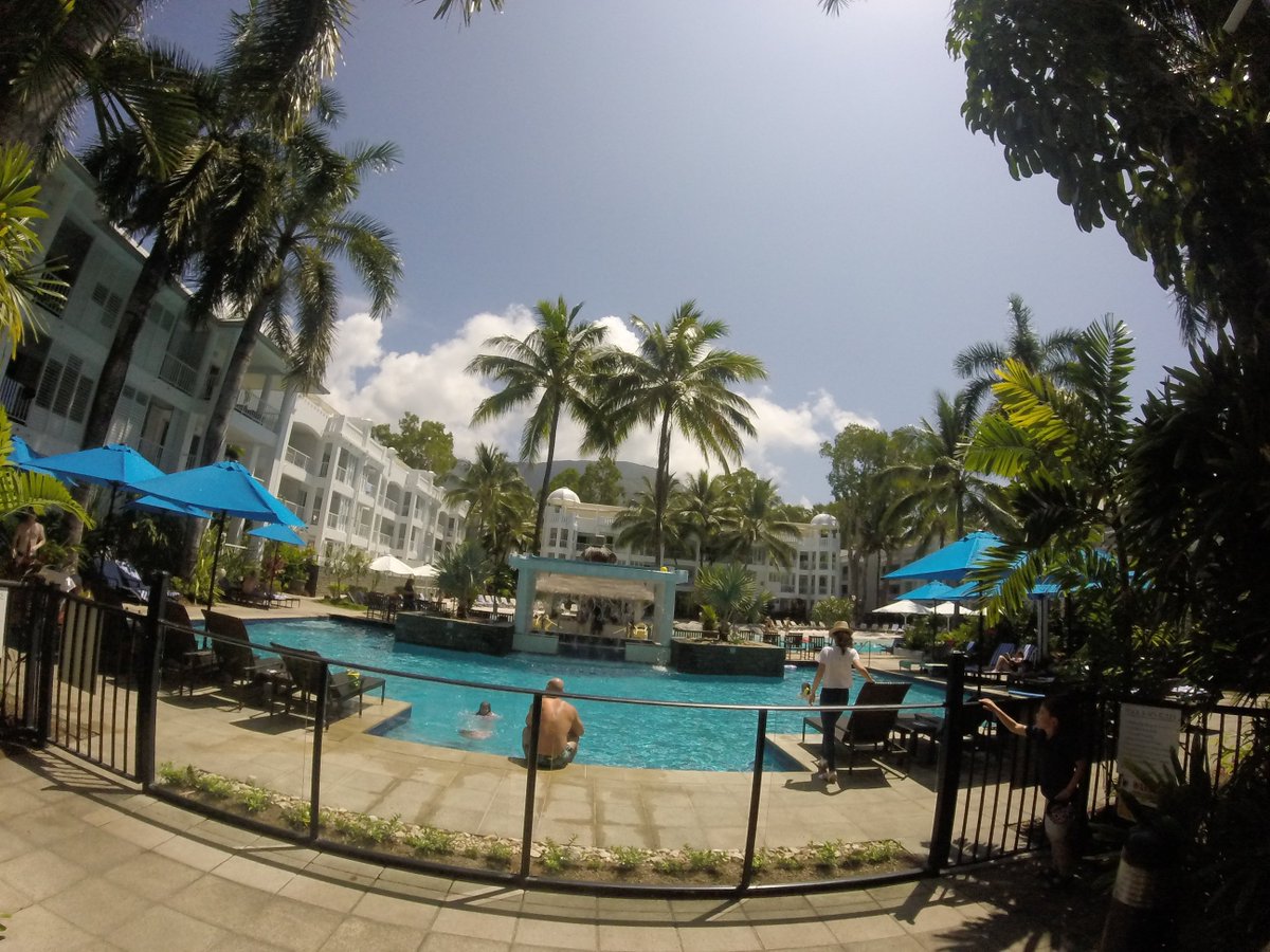 wravltheworld's tweet photo. Found some more pics i had on the go pro of @PalmCove_QLD 
love that place!!
#travel #backpacking #paradise #gopro https://t.co/S5IjUtAvjb