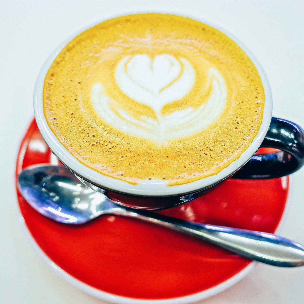 allmyloveamanda's tweet photo. : Happy Montag #allmylovers!a strong cup of joe from @HazelnHershey after a lovely long https://t.co/n4RrFap8Yq https://t.co/fhMj5P5imq
