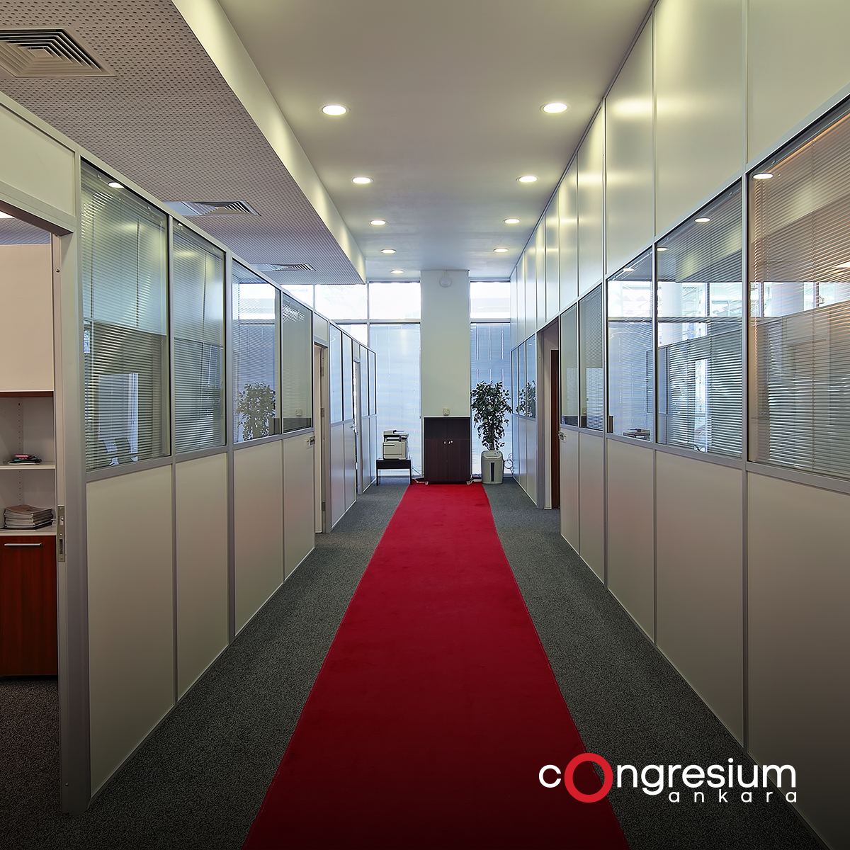 Congresium tweet media