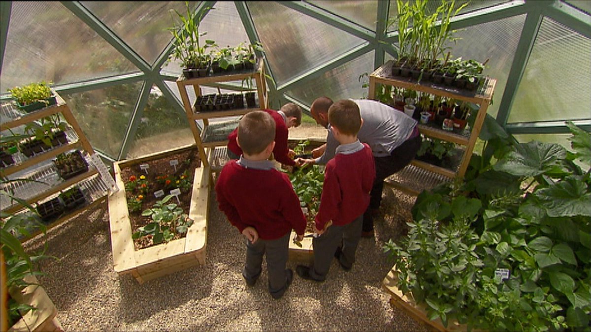 The West Cork school who've built a geodesic dome to help get their fruit & veg harvested on @RTENationwide tonight