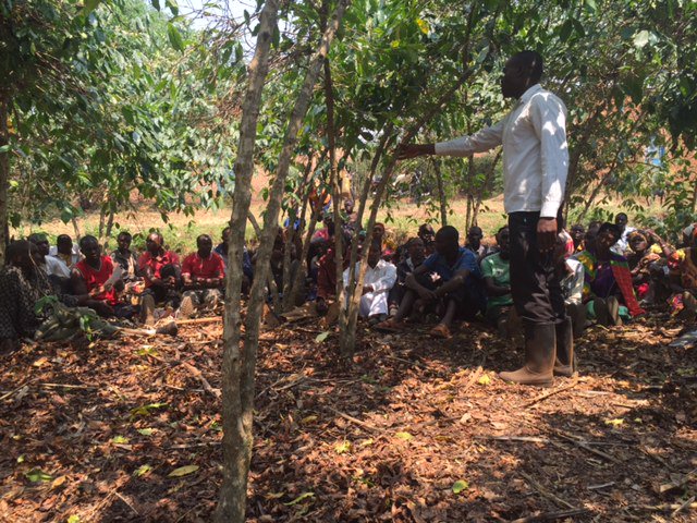 RwandaTradingCo's tweet photo. Innocent, one of RTC's field officers, leading a training on pruning and rejuvenation of coffee trees #FarmImpact https://t.co/7WqwQprCzC