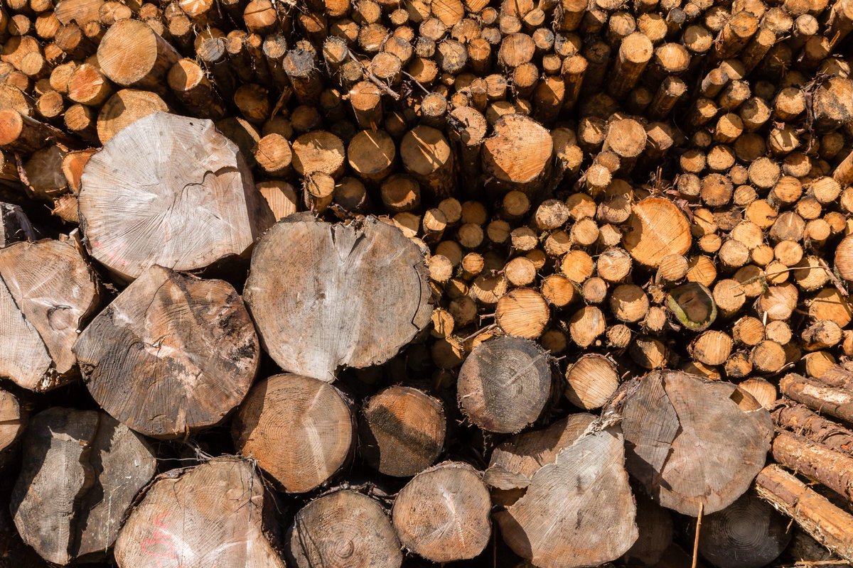 WoodletsUK's tweet photo. #Woodlets made from responsible sourced virgin timber all grown in the UK https://t.co/kDkHKLGvt9