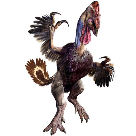 Nel Mesozoicu esistieron dinosaurios carnívoros, herbívoros y omnívoros.