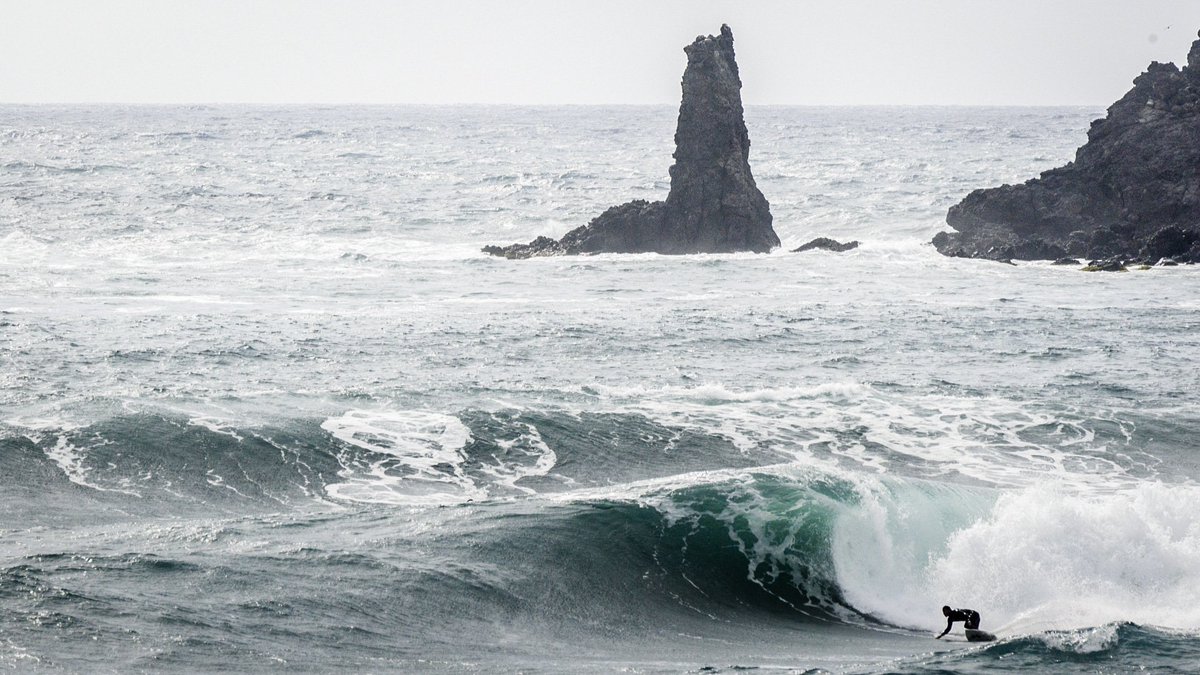 nixon surf