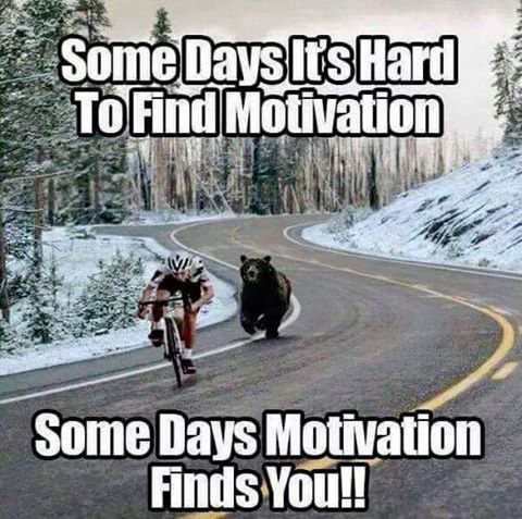 iambiglittle's tweet photo. #MotivationMonday No matter the source of the motivation, be motivated. #MondayMotivation https://t.co/Hy2AhNL7zu
