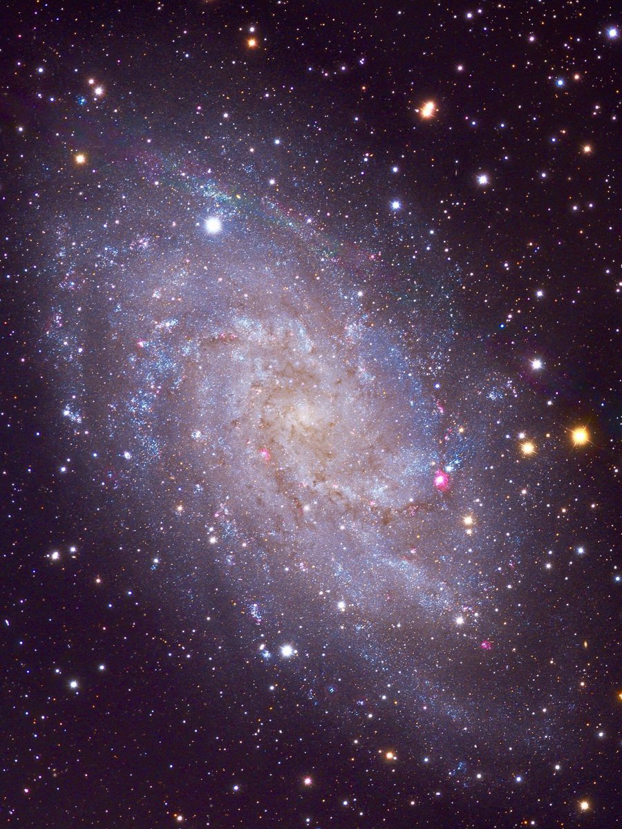 407Dank's tweet photo. The Pinwheel galaxy. 10 billion stars all rotating in the same direction https://t.co/4yRhCSKkOP