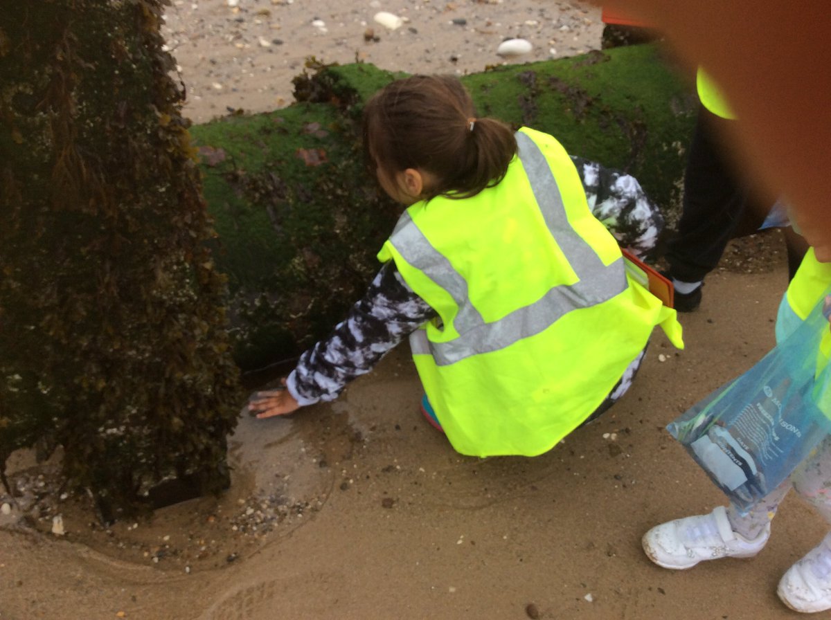 MrsBullock_'s tweet photo. Fantastic morning in Bridlington with Y4 @HootsMrs @BoothferryPS https://t.co/fPv0BUQbX7