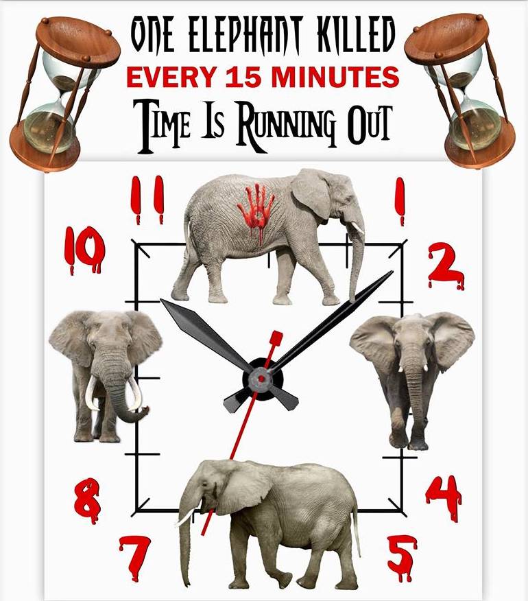 annamoor1995's tweet photo. 1 Elephant is KILLED every 15 mins. Extinction means FOREVER. @cites WE #demandappendix1 #notrade ! https://t.co/NEwrF5Ma8W