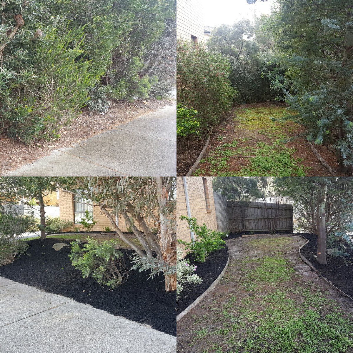 Bladerunner tweet media