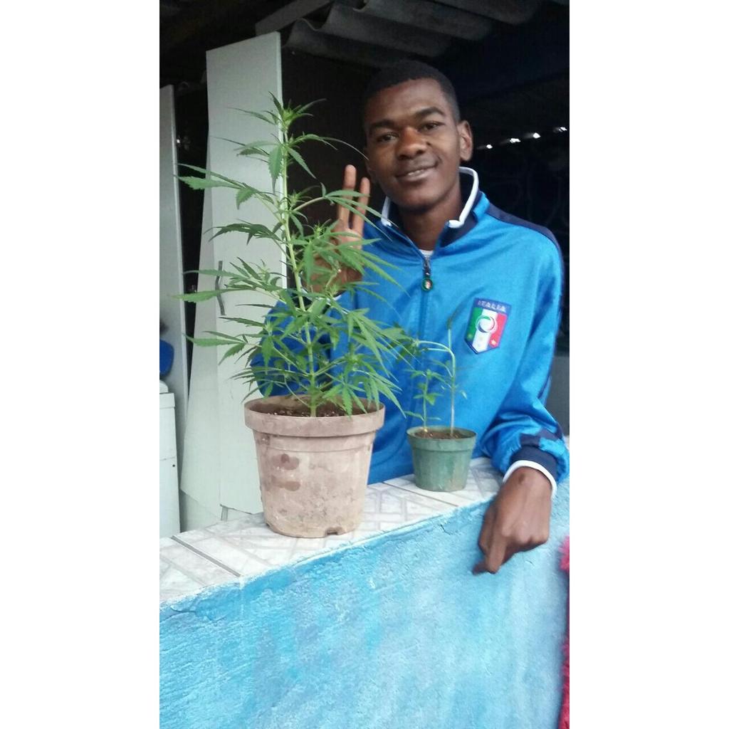 2k_akemy's tweet image. Bom dia 💙🍀☝😏👊! 

#bbzão 😜💨