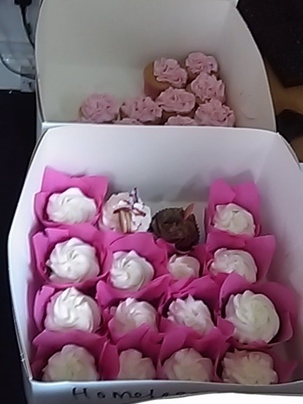 GateBuddies's tweet photo. A special thank you  that the sash &amp; Gate Buddies team received 💝 https://t.co/nl5CXrgMDQ