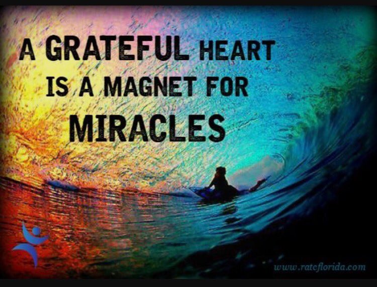 kim_prestidge's tweet photo. Positive vibes attract positive tribes!  Be a magnet! #startwithwhy  #laptoplifestyle  #limuevolution #itscoming https://t.co/7fGqw8NVSI