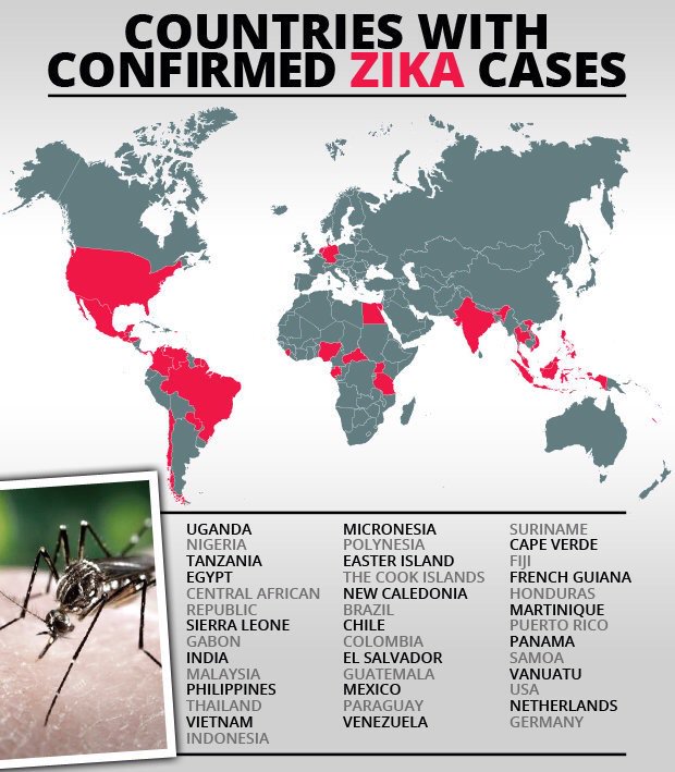 PestCOServices's tweet photo. Stay safe everyone! Let's stop Zika Virus! https://t.co/2iiUdsA25X