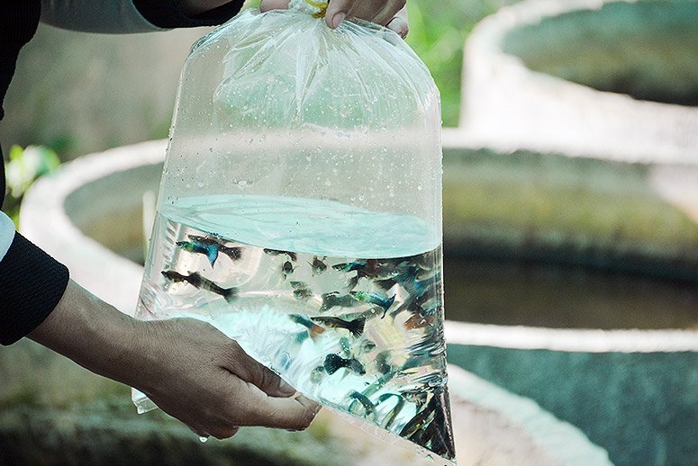 Care Plus tweet media