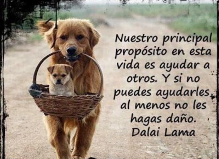 _MartaGH16_'s tweet photo. Para Álvaro y sus desagradables palabras... #GHDirecto https://t.co/GYYciax7YO