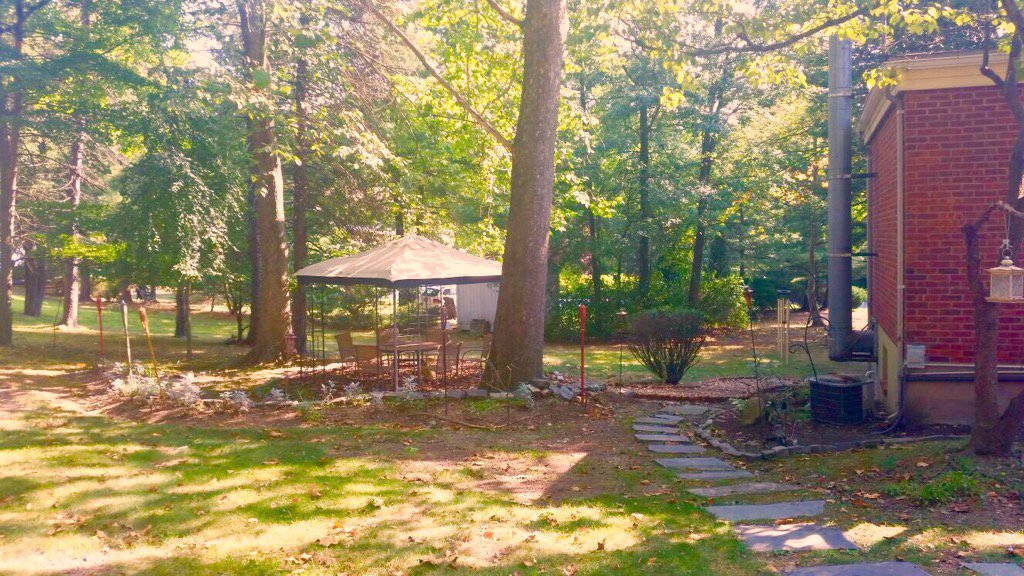 sufisal's tweet photo. My sitting area where most of the new songs for #Junoon25 were written &amp; composed. @junoonmusic https://t.co/ZJozm6TTlL