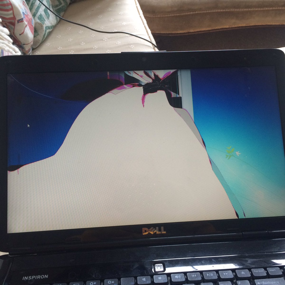 Tropicannah's tweet image. Help! #computerhelp #laptophelp #laptoprepair #techhelp #laptopfixer #whatdoesthismean #brokenlaptop #onlinehelp