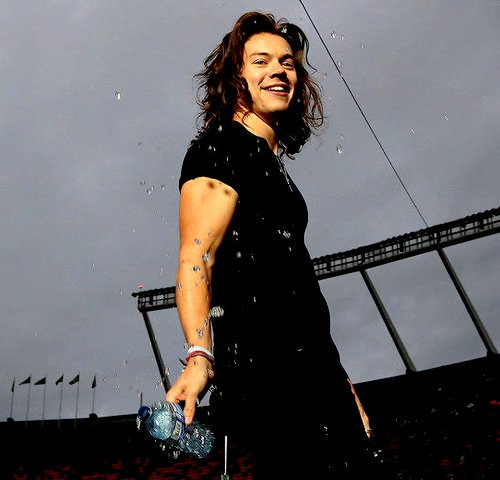 WhyLarryIsReal's tweet photo. the way his  hair falls!!! unreal https://t.co/7nsvLJgQof