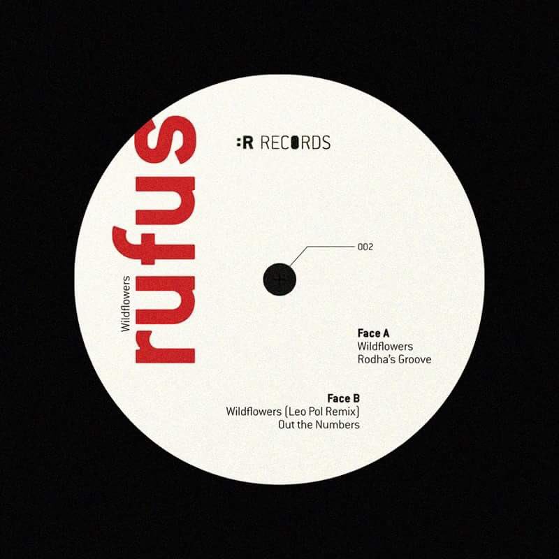 BasseResolution's tweet image. BR# 002 : Rufus - Wildflowers - Remix by Leo Pol OUT NOVEMBER 2ND #brrecords #newrecords #ep #rufus #leopol #house