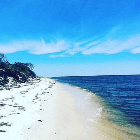 FSUCampusRec's tweet photo. By a "breath of fresh air" we mean this....
@FloridaStateOP #baldpoint #paddleboard https://t.co/hZ0FTJ6Ncj