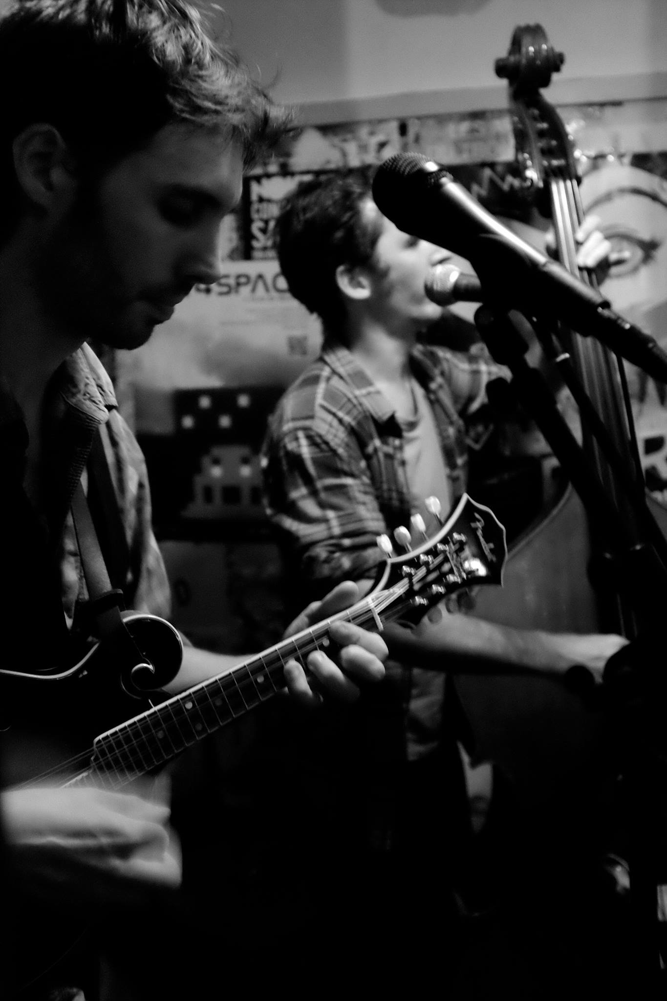 Pied tendre on Twitter 