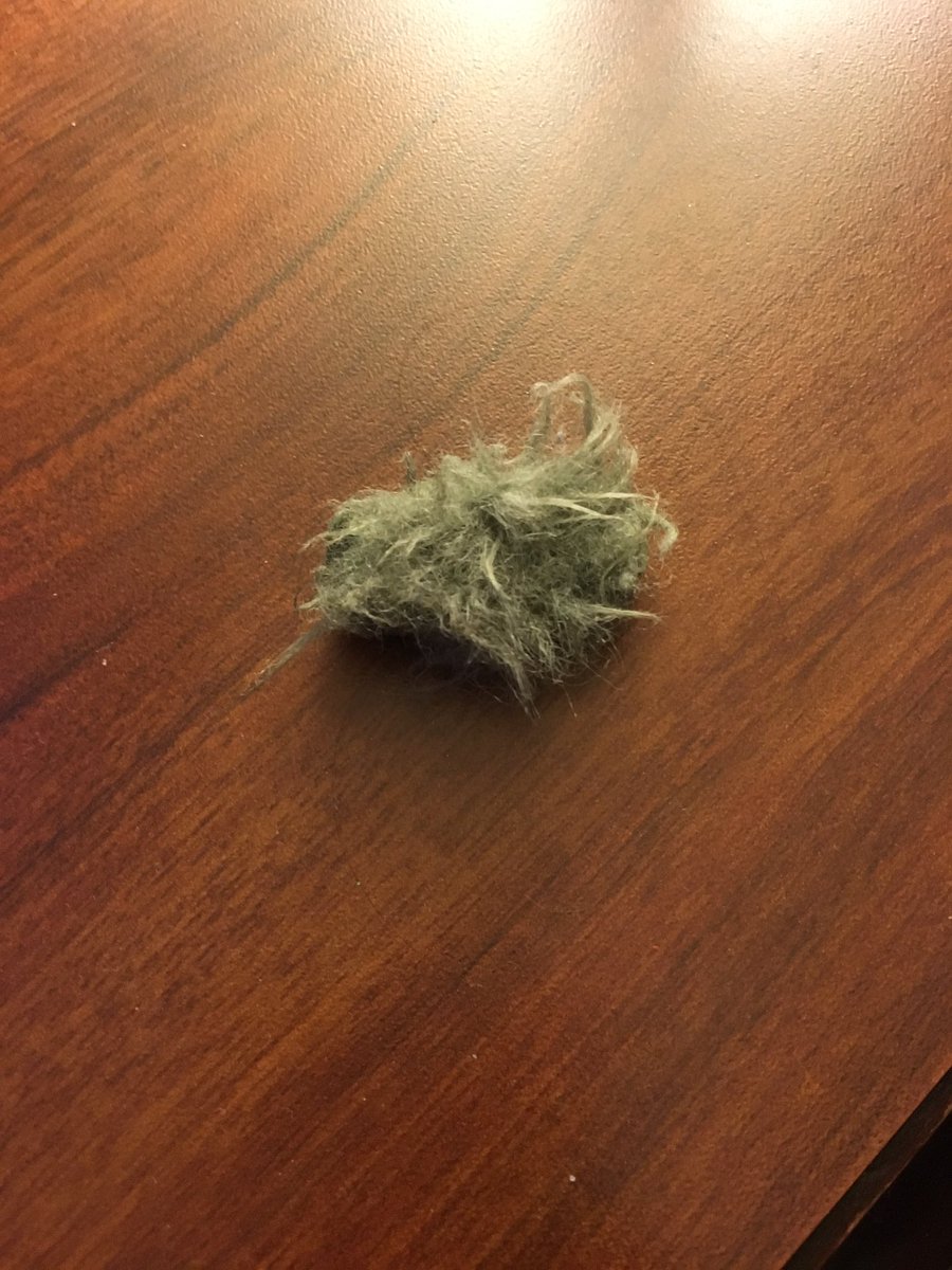 KrispySmore's tweet photo. RIP Fluffy Muff our Wind Muffler for our camera is no more 😆😆 #ripmuff https://t.co/qSWNNlspiw