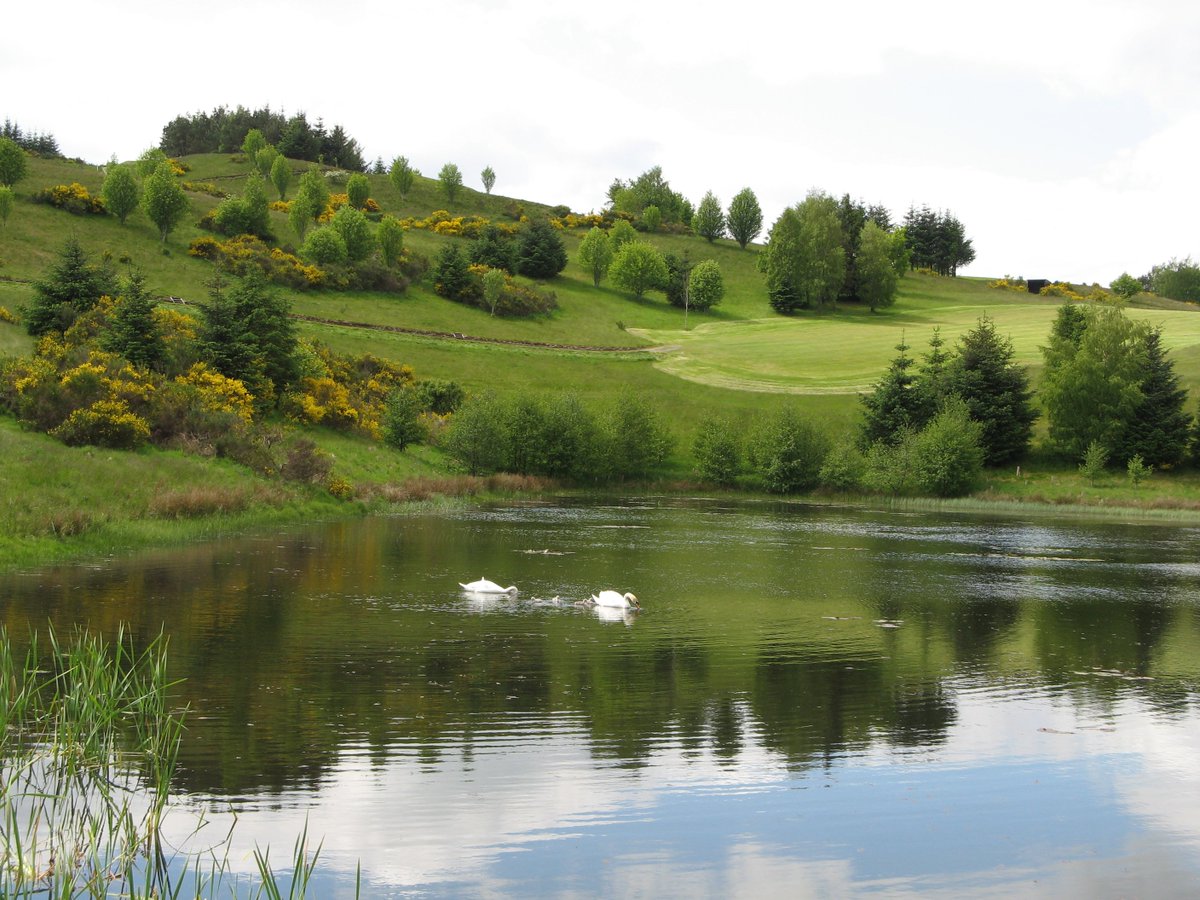 Strathpef_Golf's tweet photo. Sun still shining at Strathpeffer. Twilight golf for £15. https://t.co/3jYqOYxYBy