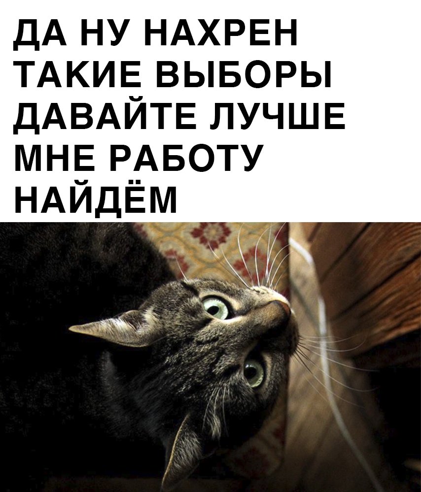 Чуть-чуть про выборы, и немного про работу
facebook.com/photo.php?fbid…

#кот, #выборы, #работа