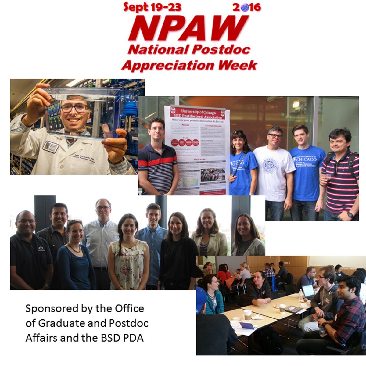 UChicago BSD Office of Postdoctoral Affairs tweet media