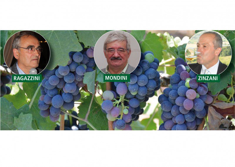 #Sommelier Mondini ed #enologi Ragazzini e Zinzani: «#Vino, sarà un’annata da ricordare»
settesere.it/it/n12516-il-s…