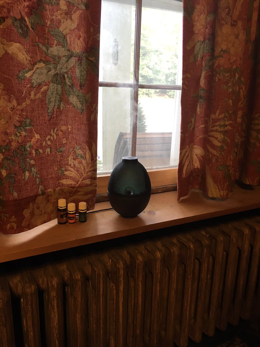 RealtynRentals's tweet photo. My office smells Sooooo good #Clove #Tangerine #NorthernLightsBlackSpruce #YoungLiving #essentialoils #Rainstone https://t.co/FGvsH9UGJU