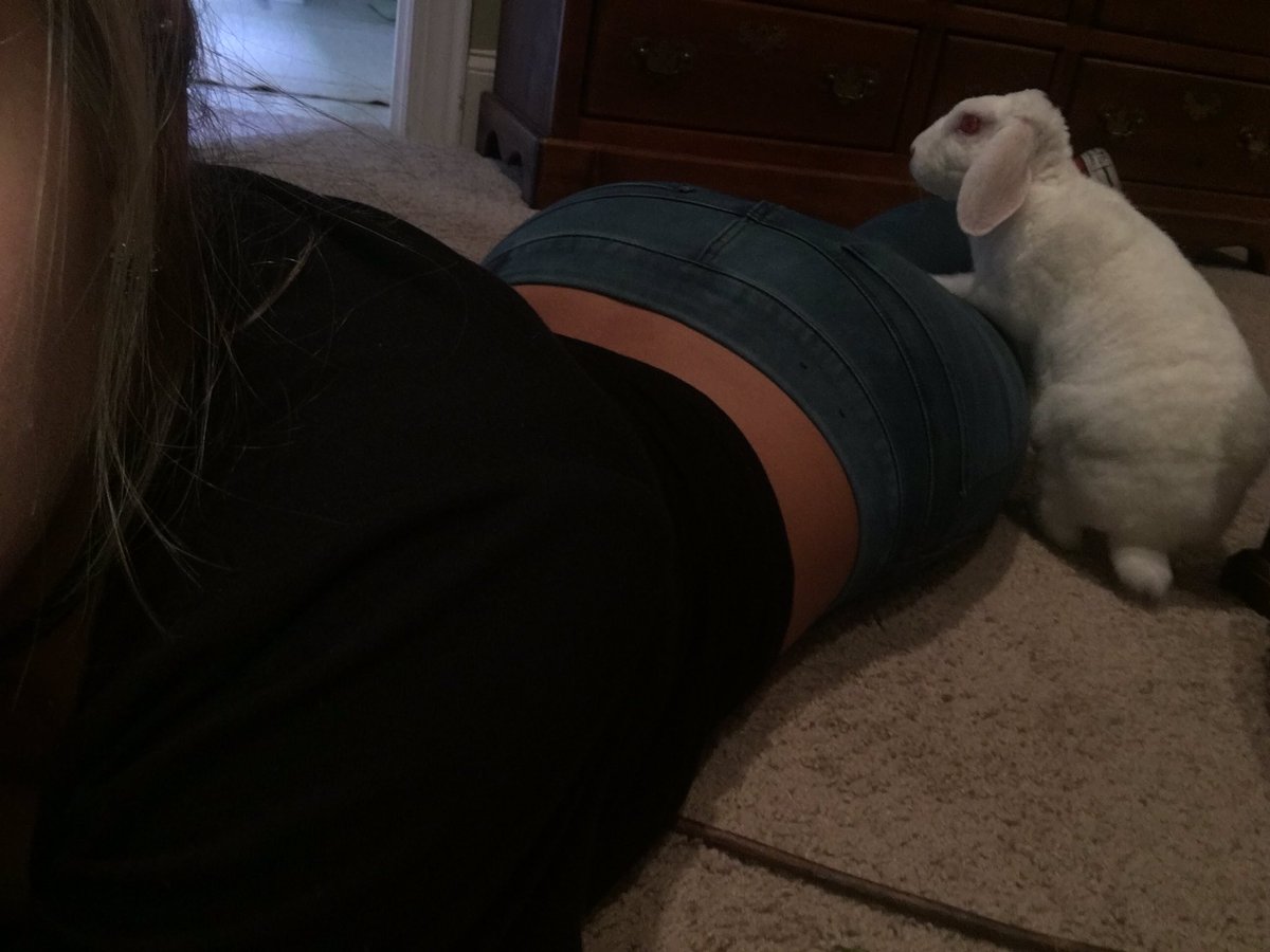 _lizard_97's tweet photo. #dontmesswithtreble #helikesthebooty https://t.co/ZxcwiJFN3h