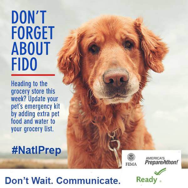 iiiorg's tweet photo. Don't forget to include your pets in your emergency plan.  https://t.co/ZxxG5XgAqX #NatlPrep #petsafety https://t.co/zjuOGUL7nt
